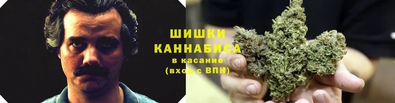 где купить наркотик  Калачинск  Марихуана Amnesia 